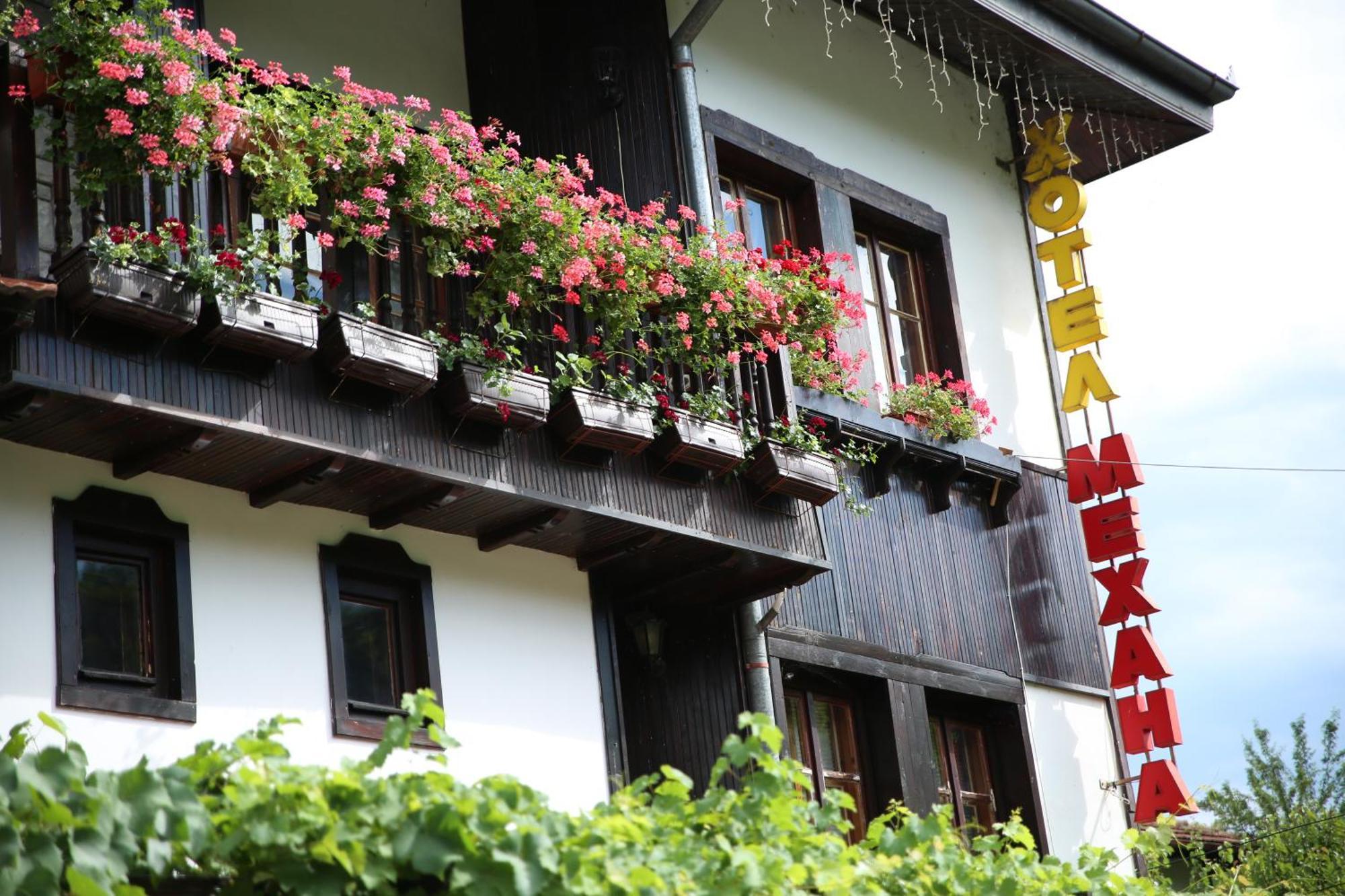 Oazis Family Hotel Lovech Exteriör bild